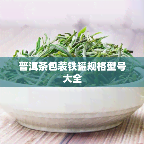 普洱茶包装铁罐规格型号大全