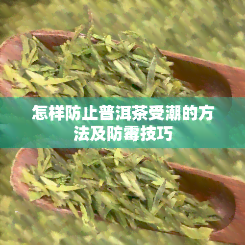 怎样防止普洱茶受潮的方法及防霉技巧