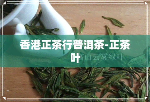 正茶行普洱茶-正茶叶