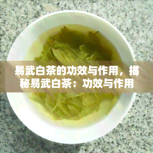 易武白茶的功效与作用，揭秘易武白茶：功效与作用一览