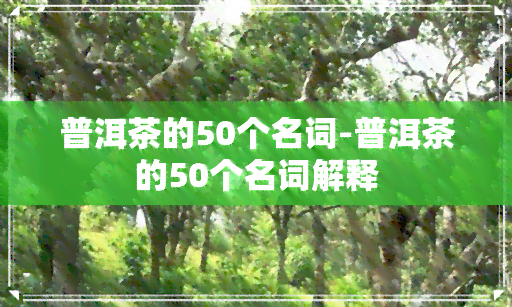 普洱茶的50个名词-普洱茶的50个名词解释