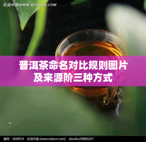 普洱茶命名对比规则图片及来源阶三种方式