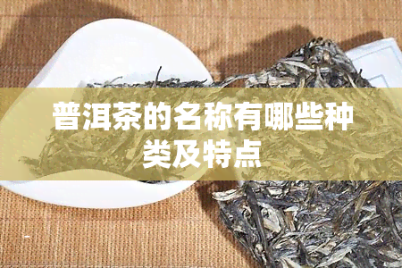 普洱茶的名称有哪些种类及特点