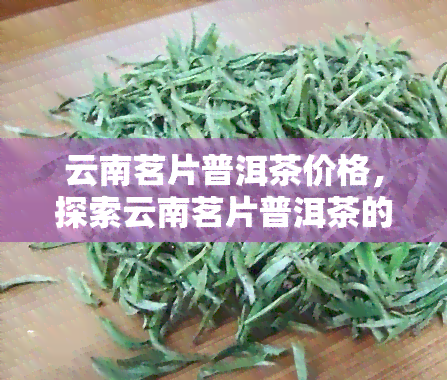 云南茗片普洱茶价格，探索云南茗片普洱茶的价格走势