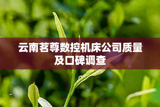 云南茗尊数控机床公司质量及口碑调查