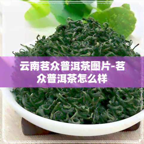 云南茗众普洱茶图片-茗众普洱茶怎么样