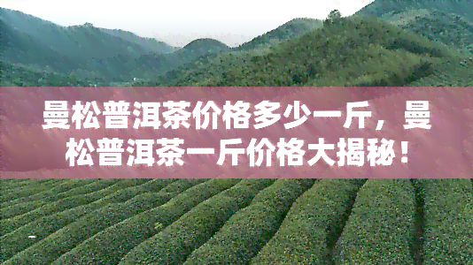 曼松普洱茶价格多少一斤，曼松普洱茶一斤价格大揭秘！