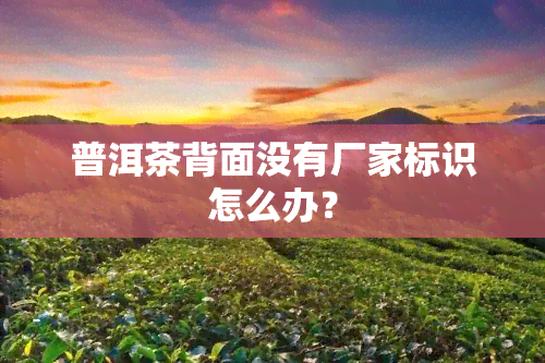 普洱茶背面没有厂家标识怎么办？