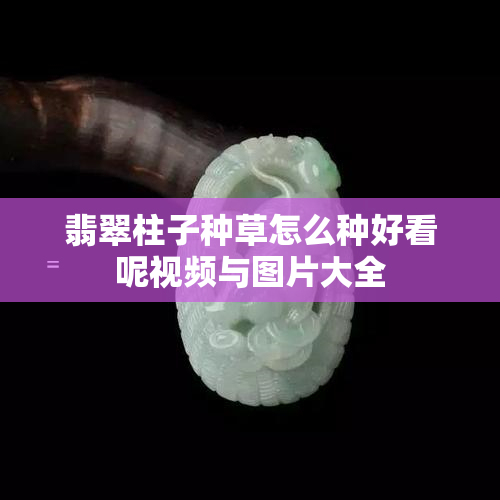 翡翠柱子种草怎么种好看呢视频与图片大全