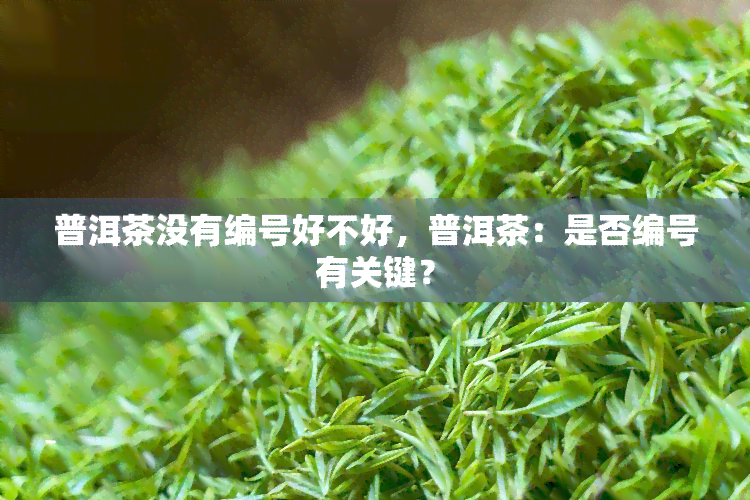 普洱茶没有编号好不好，普洱茶：是否编号有关键？