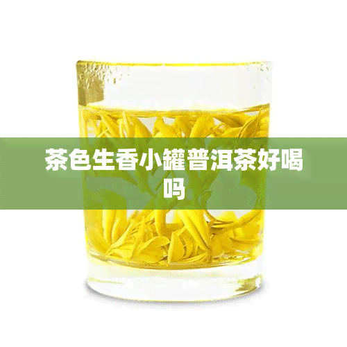 茶色生香小罐普洱茶好喝吗