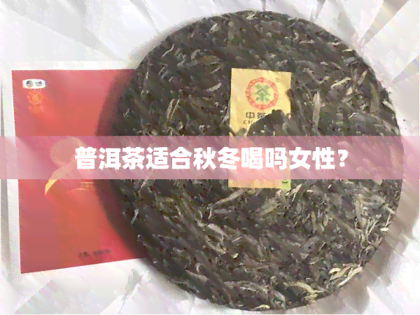 普洱茶适合秋冬喝吗女性？