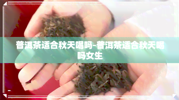 普洱茶适合秋天喝吗-普洱茶适合秋天喝吗女生