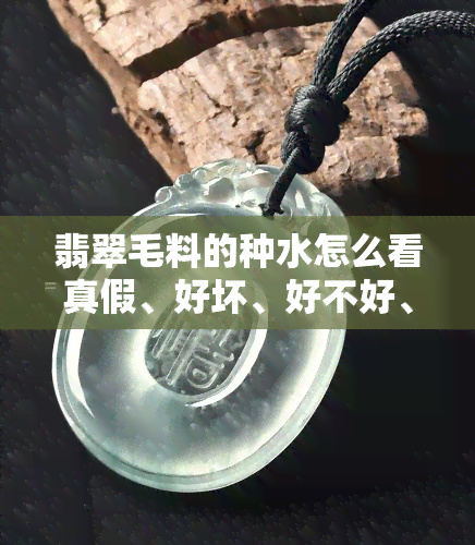 翡翠毛料的种水怎么看真假、好坏、好不好、怎样看种水、怎么看种水、如何看种水