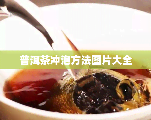 普洱茶冲泡方法图片大全