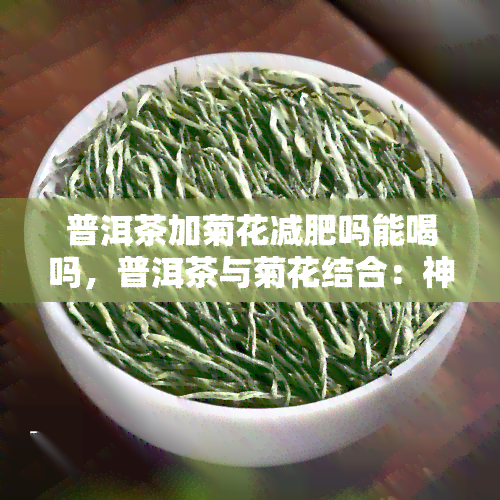 普洱茶加菊花减肥吗能喝吗，普洱茶与菊花结合：神奇减肥组合还是健陷阱？