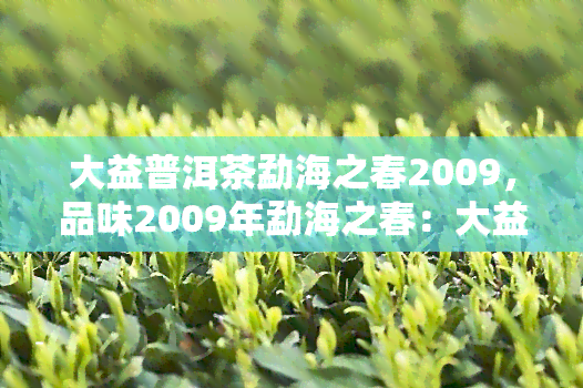 大益普洱茶勐海之春2009，品味2009年勐海之春：大益普洱茶的独特魅力