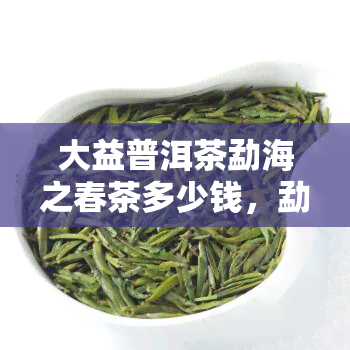 大益普洱茶勐海之春茶多少钱，勐海之春茶价格查询：大益普洱茶的市场价位是多少？