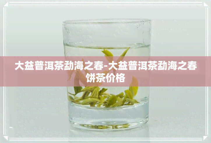 大益普洱茶勐海之春-大益普洱茶勐海之春饼茶价格