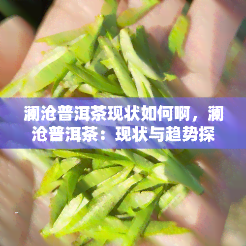 澜沧普洱茶现状如何啊，澜沧普洱茶：现状与趋势探析