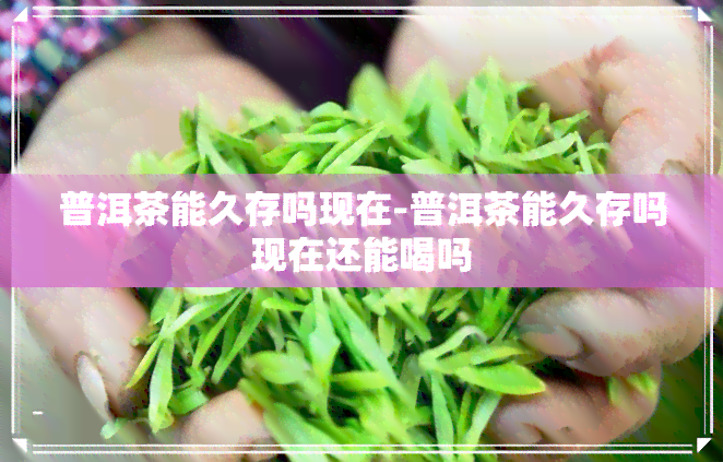 普洱茶能久存吗现在-普洱茶能久存吗现在还能喝吗