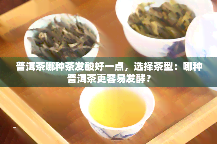 普洱茶哪种茶发酸好一点，选择茶型：哪种普洱茶更容易发酵？