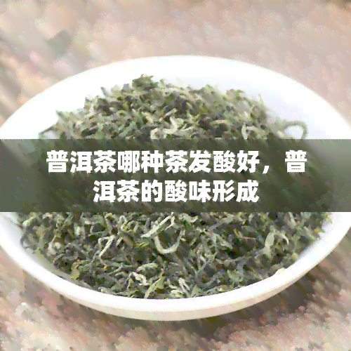 普洱茶哪种茶发酸好，普洱茶的酸味形成