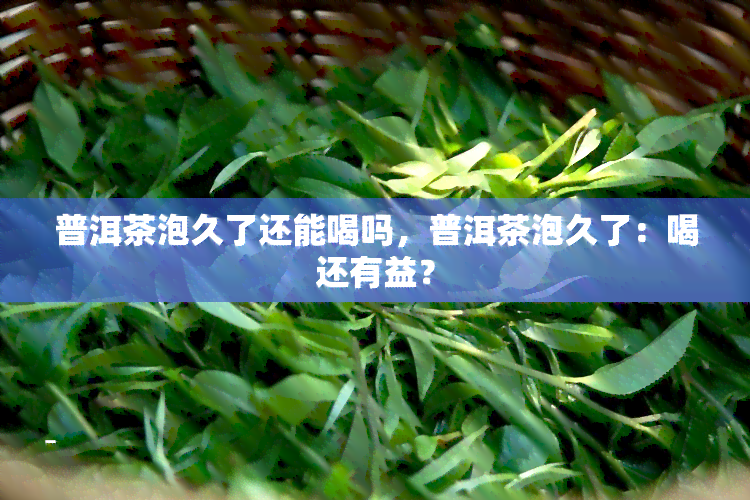 普洱茶泡久了还能喝吗，普洱茶泡久了：喝还有益？