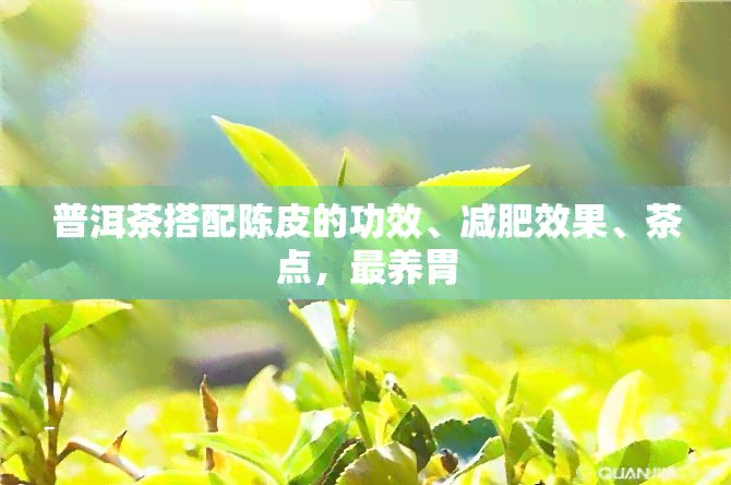 普洱茶搭配陈皮的功效、减肥效果、茶点，最养胃