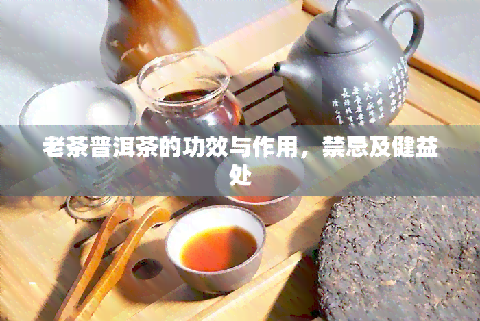 老茶普洱茶的功效与作用，禁忌及健益处