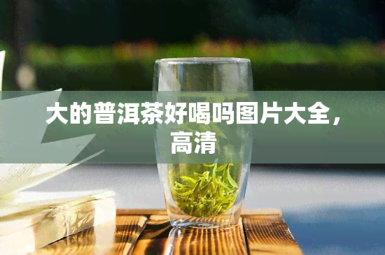 大的普洱茶好喝吗图片大全，高清