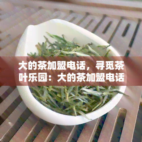 大的茶加盟电话，寻觅茶叶乐园：大的茶加盟电话揭秘