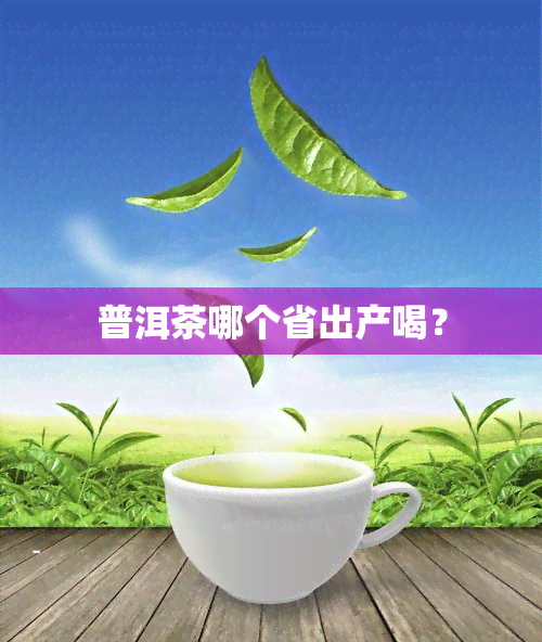 普洱茶哪个省出产喝？