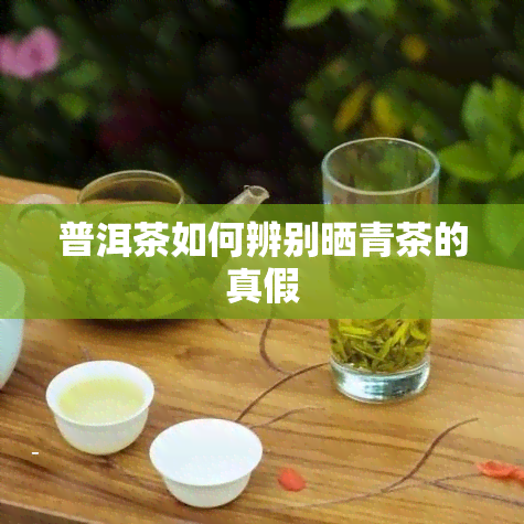 普洱茶如何辨别晒青茶的真假