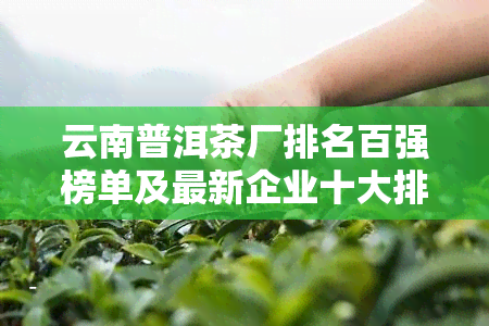 云南普洱茶厂排名百强榜单及最新企业十大排名