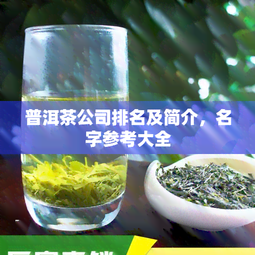 普洱茶公司排名及简介，名字参考大全