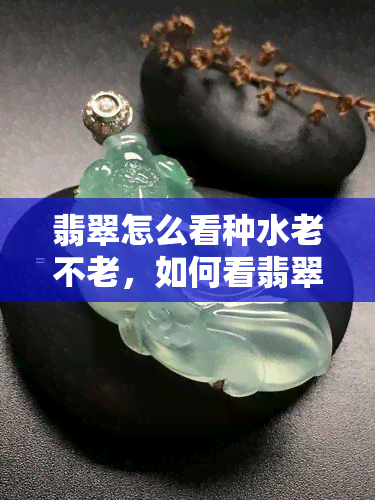 翡翠怎么看种水老不老，如何看翡翠的种水和价值