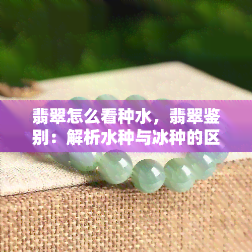 翡翠怎么看种水，翡翠鉴别：解析水种与冰种的区别