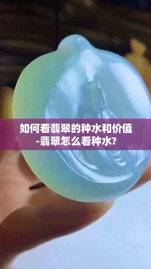 如何看翡翠的种水和价值-翡翠怎么看种水?