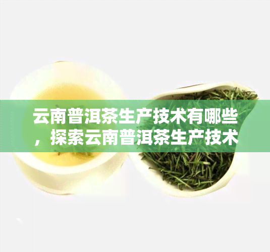 云南普洱茶生产技术有哪些，探索云南普洱茶生产技术：解析工艺与传承