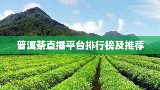 普洱茶直播平台排行榜及推荐