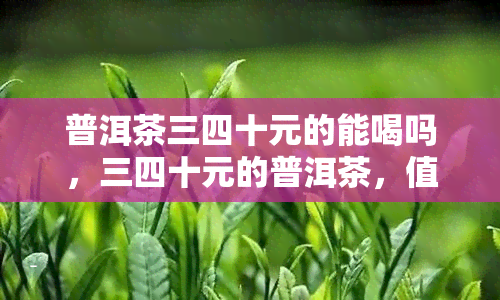 普洱茶三四十元的能喝吗，三四十元的普洱茶，值得一试吗？