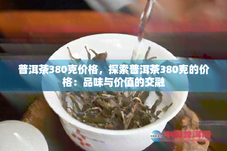 普洱茶380克价格，探索普洱茶380克的价格：品味与价值的交融