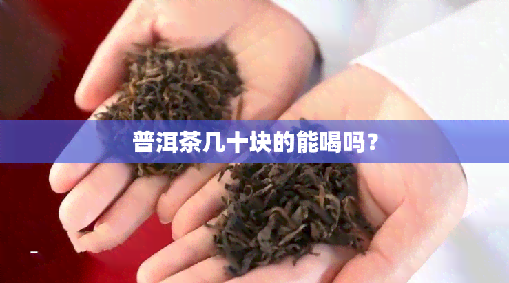 普洱茶几十块的能喝吗？