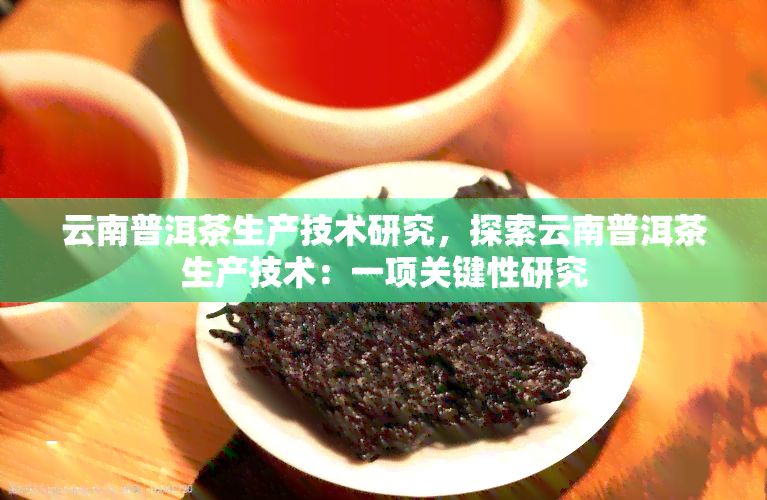 云南普洱茶生产技术研究，探索云南普洱茶生产技术：一项关键性研究