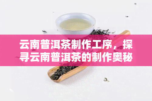 云南普洱茶制作工序，探寻云南普洱茶的制作奥秘：工序详解