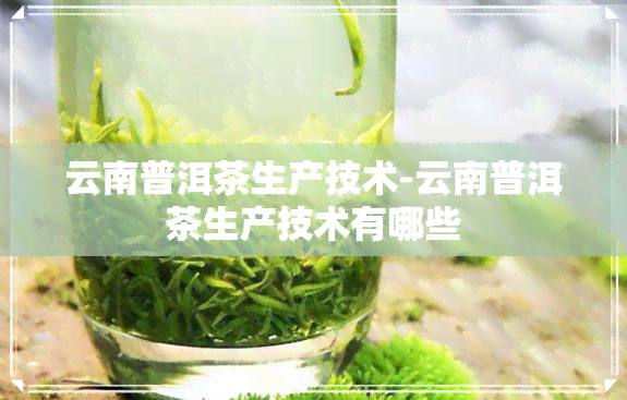 云南普洱茶生产技术-云南普洱茶生产技术有哪些