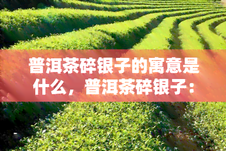 普洱茶碎银子的寓意是什么，普洱茶碎银子：寓意解析