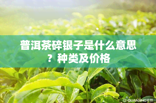 普洱茶碎银子是什么意思？种类及价格