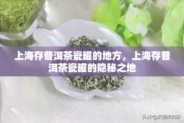 上海存普洱茶瓷罐的地方，上海存普洱茶瓷罐的隐秘之地